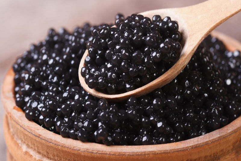 Accessoires pour caviar